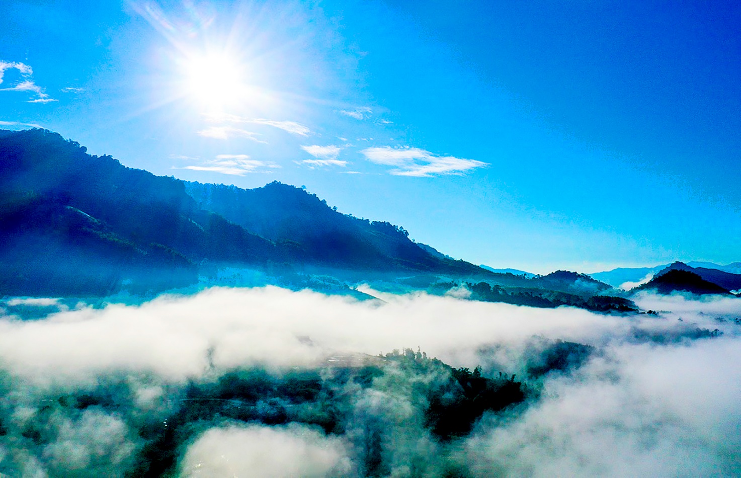 son tay thuong nang dong tim huong thoat ngheo ben vung cho nguoi dan - 1