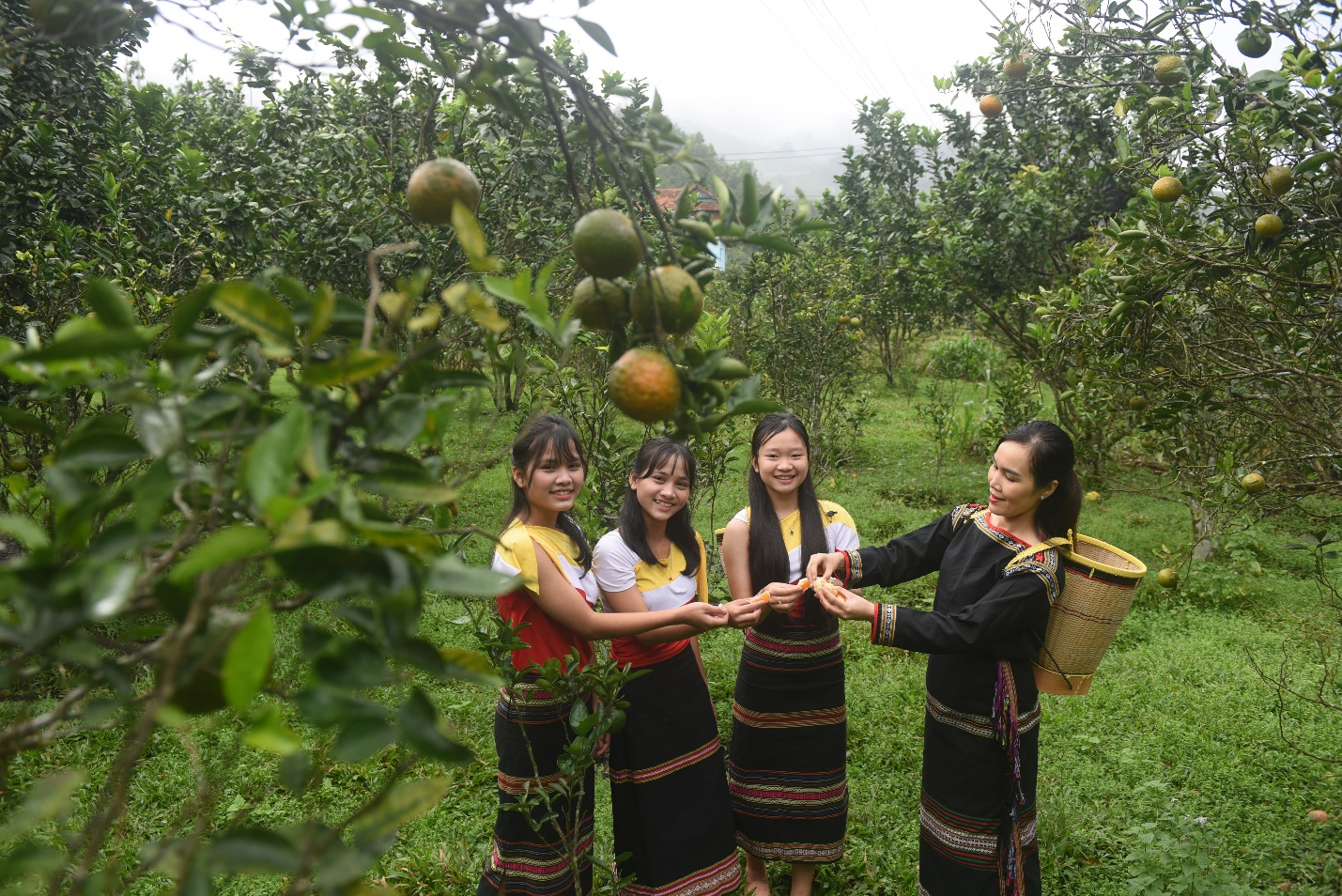 son tay thuong nang dong tim huong thoat ngheo ben vung cho nguoi dan - 12