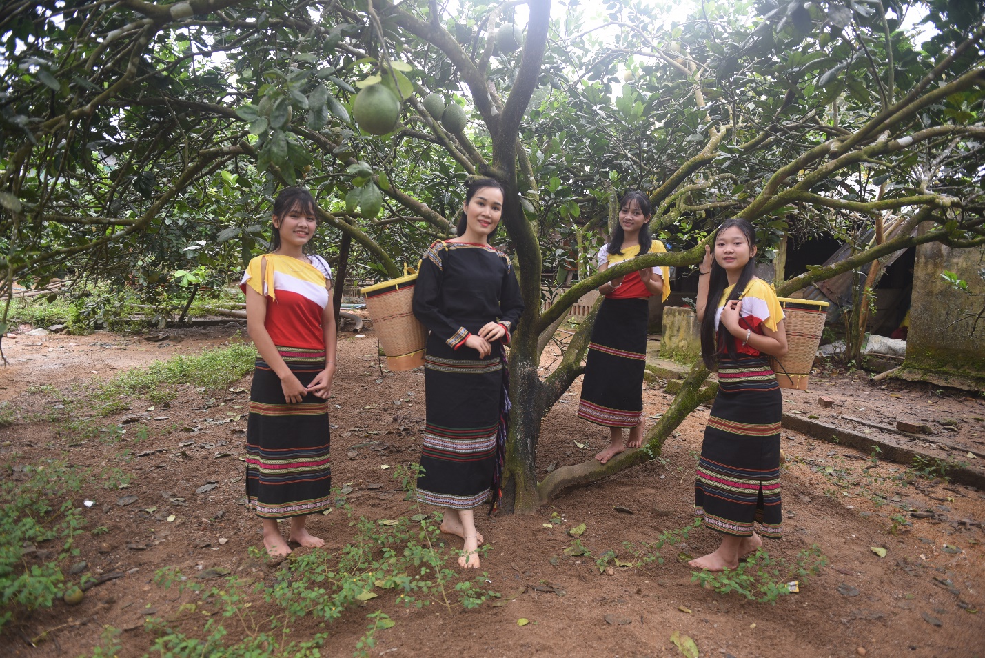 son tay thuong nang dong tim huong thoat ngheo ben vung cho nguoi dan - 13