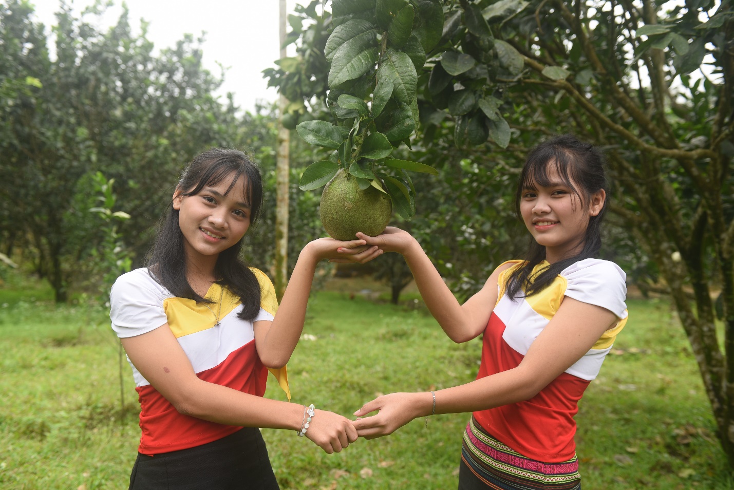 son tay thuong nang dong tim huong thoat ngheo ben vung cho nguoi dan - 9