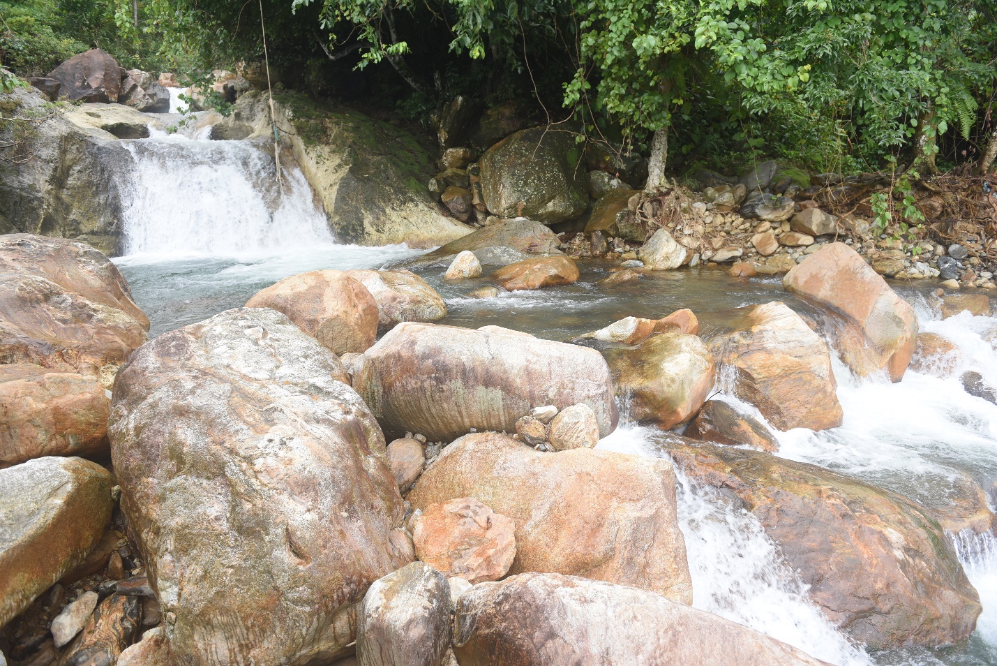 son tay thuong nang dong tim huong thoat ngheo ben vung cho nguoi dan - 14