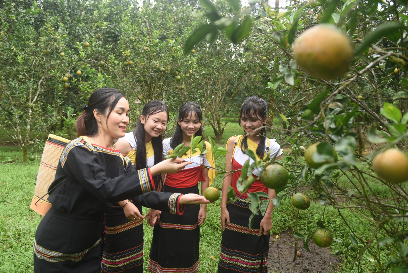 son tay thuong nang dong tim huong thoat ngheo ben vung cho nguoi dan - 11