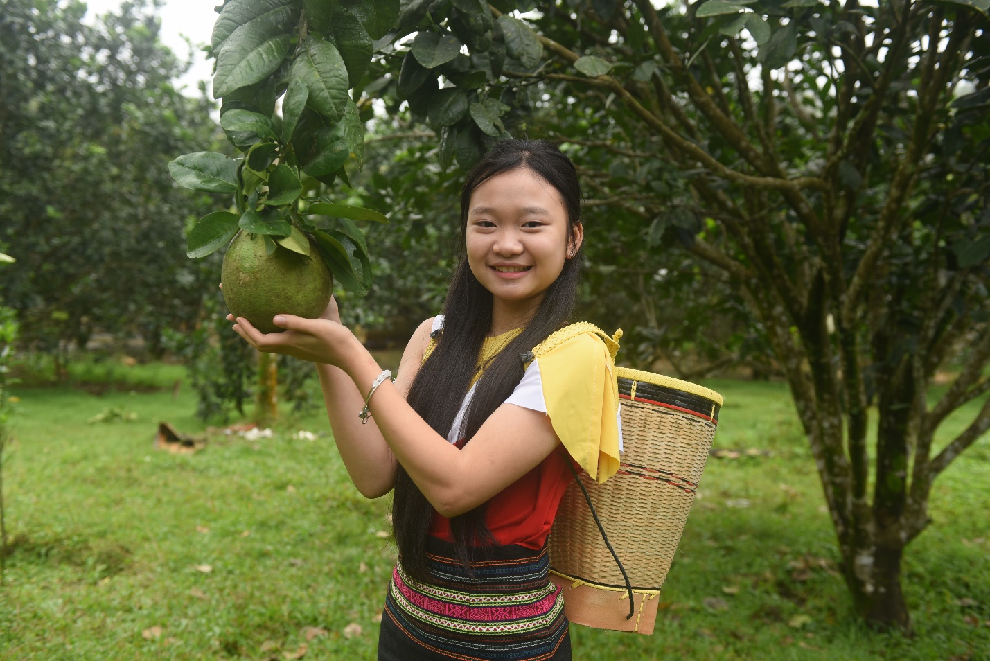 son tay thuong nang dong tim huong thoat ngheo ben vung cho nguoi dan - 10