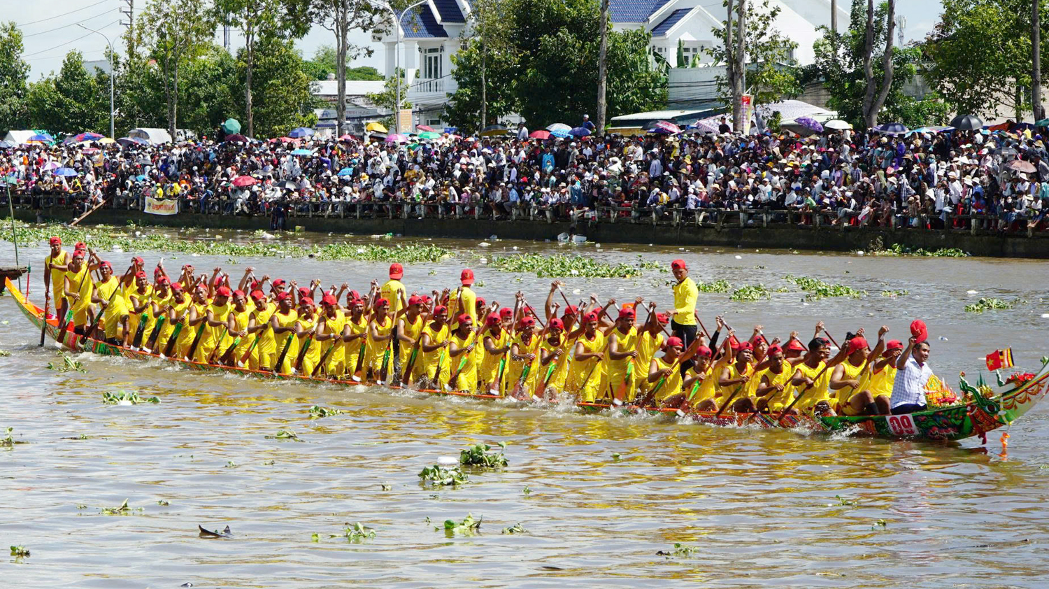 Hàng nghìn du khách về Cà Mau xem đua ghe Ngo - 1