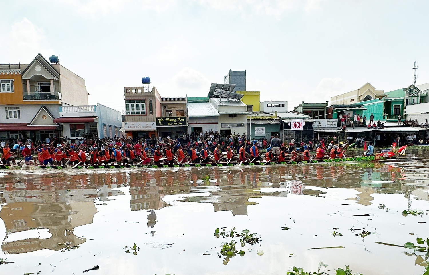 Hàng nghìn du khách về Cà Mau xem đua ghe Ngo - 3