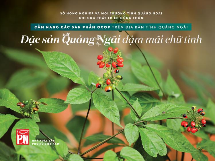 Đặc sản Quảng Ngãi đậm mãi chữ tình