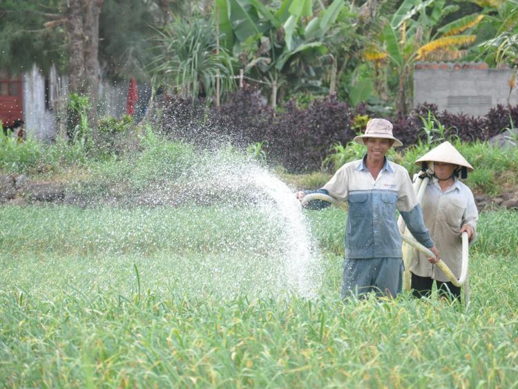 Quảng bá du lịch từ câu chuyện của… tỏi