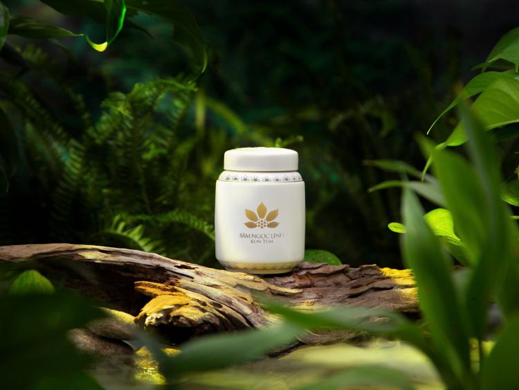 K5 Sâm mật ong: Món quà quý kết hợp giữa Đông y và y học hiện đại