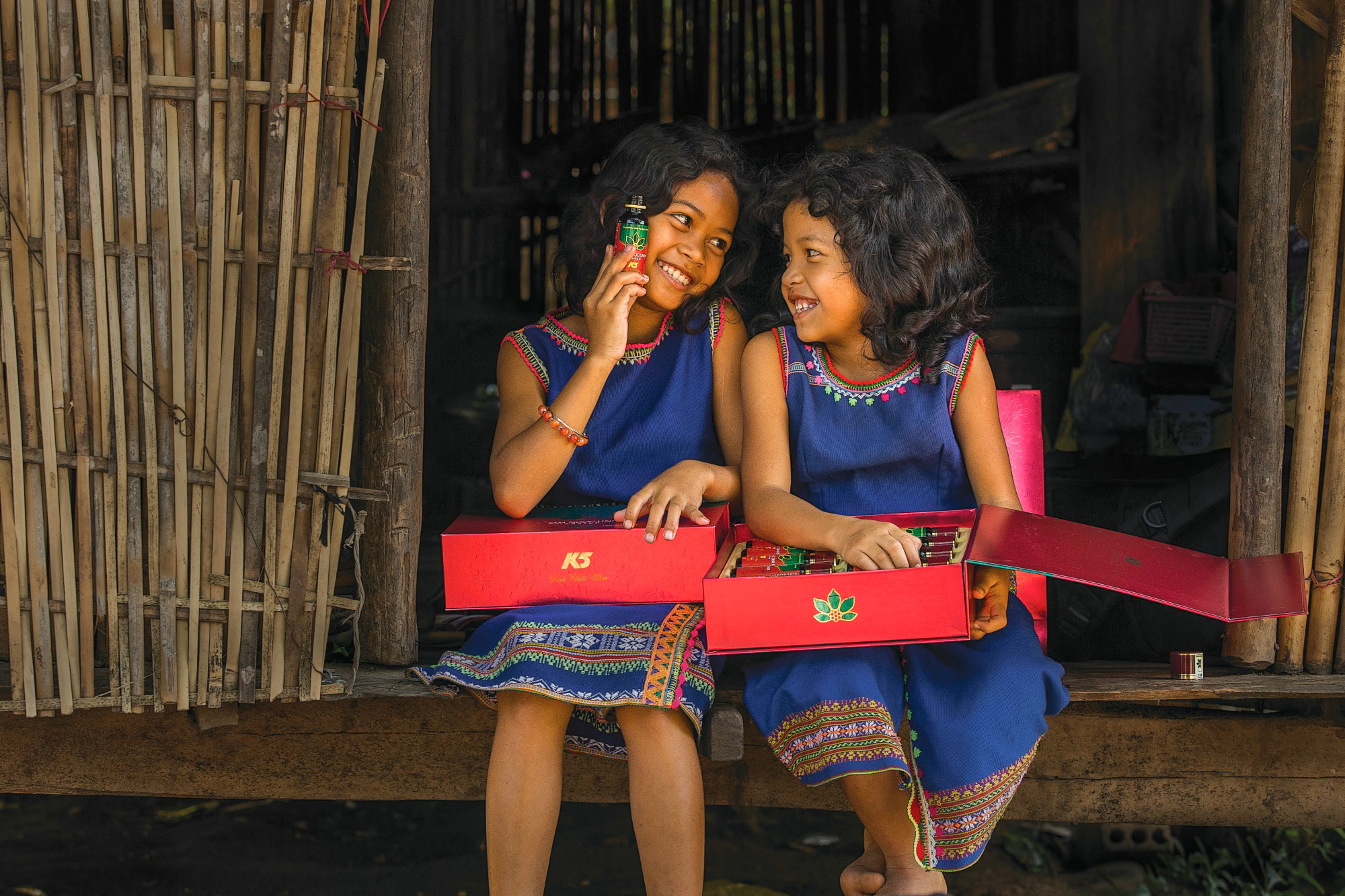 Sâm Ngọc Linh - Món quà quý của rừng - 3