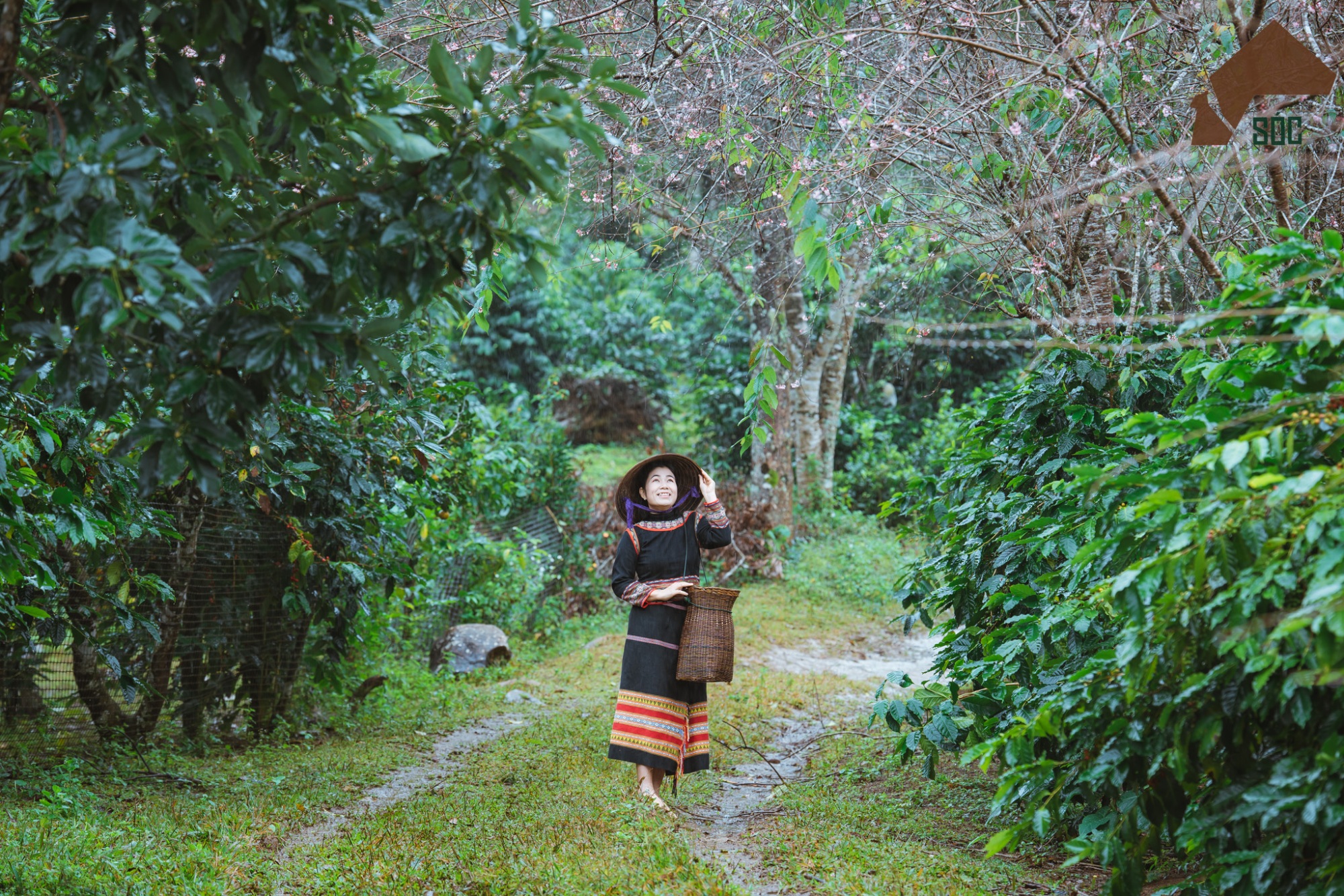 Đại sứ văn hóa mới của Măng Đen - 8