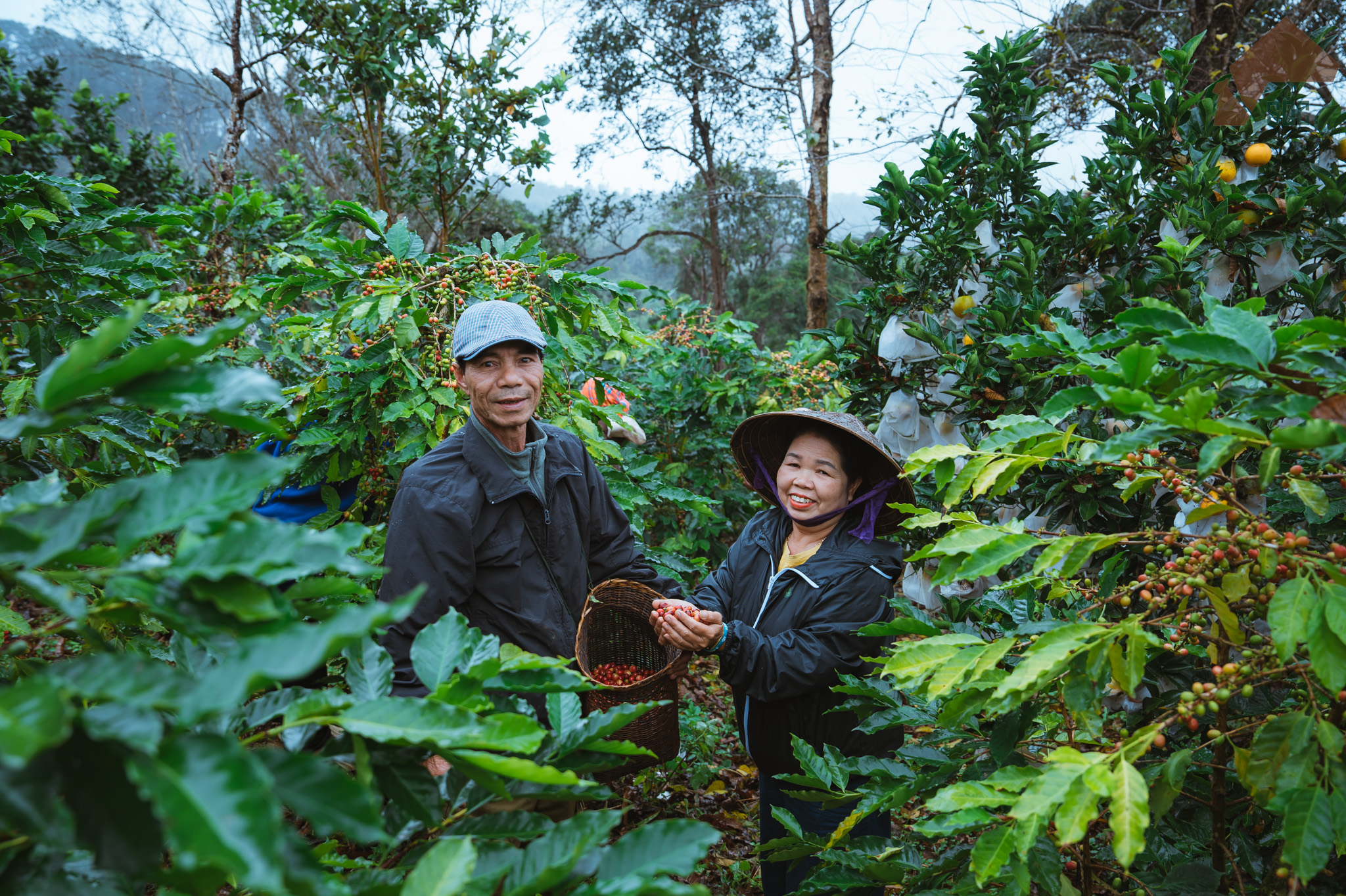 Một hành trình của 'công' và 'nghệ' - 1