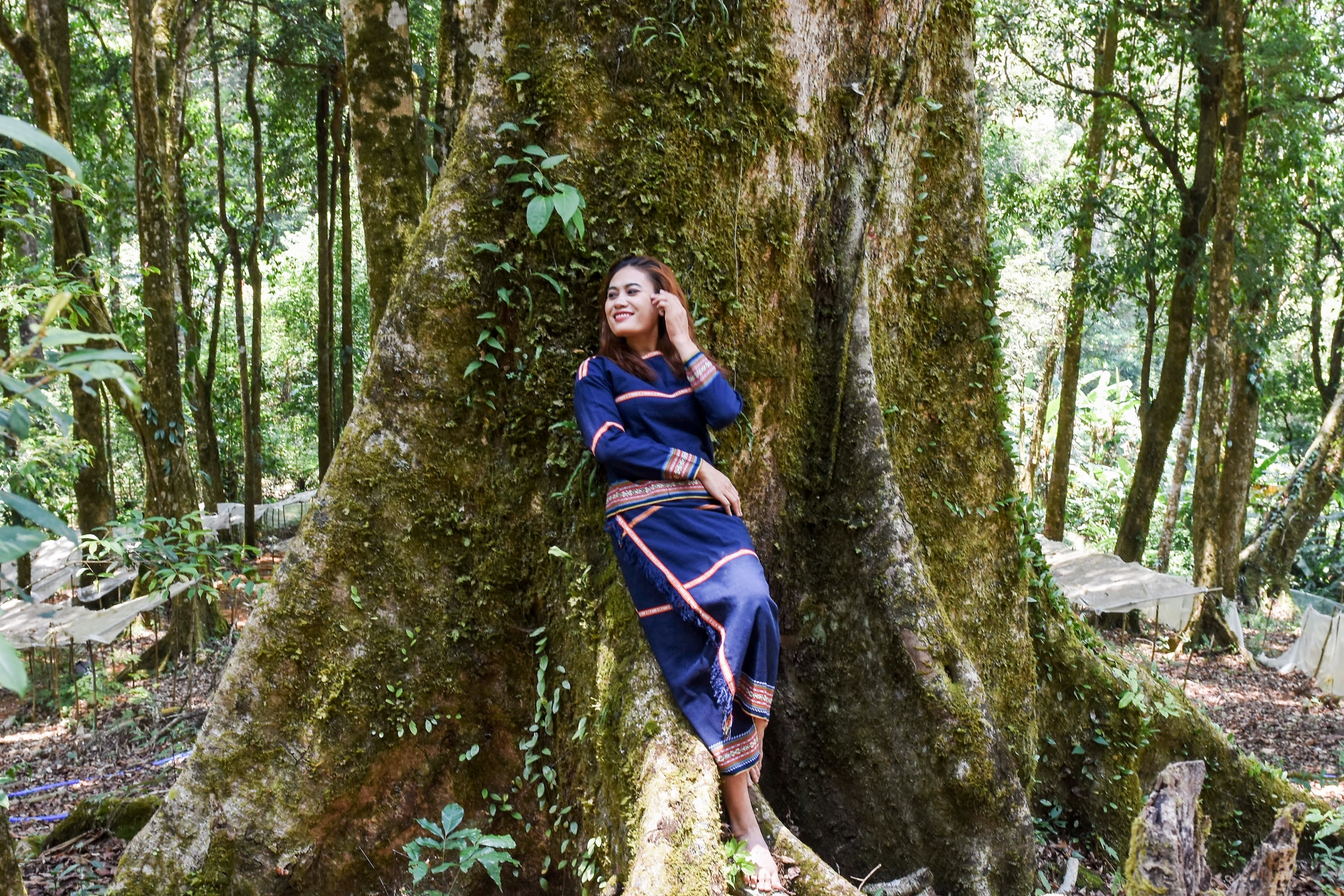 Măng Ri - Giữ hồn rừng già để bảo tồn quốc bảo - 2