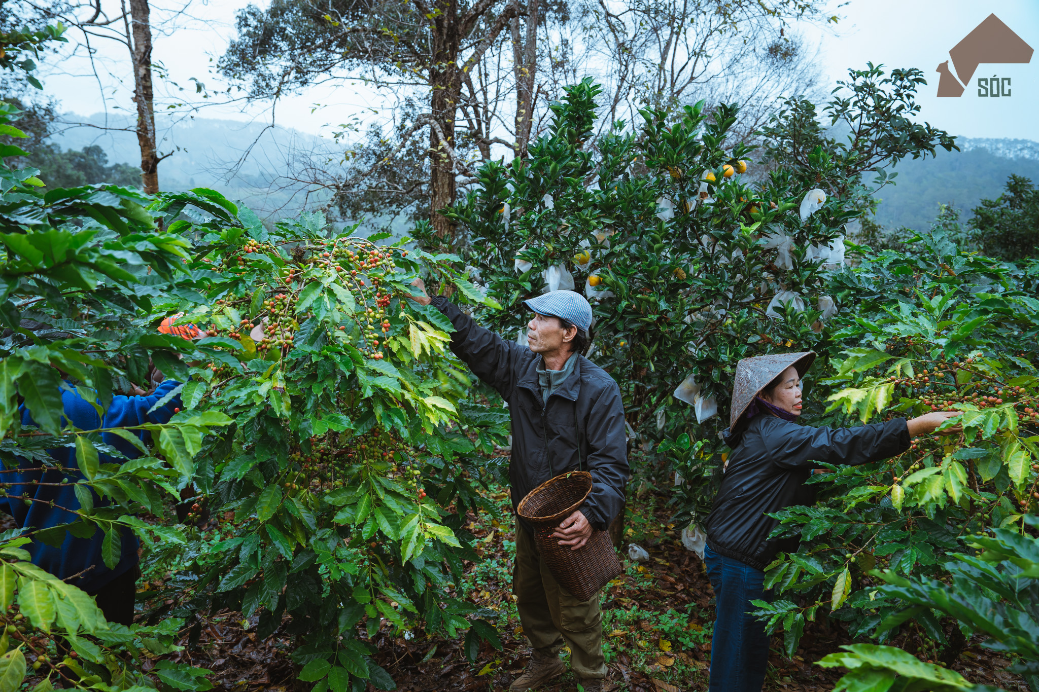 Một hành trình của 'công' và 'nghệ' - 2