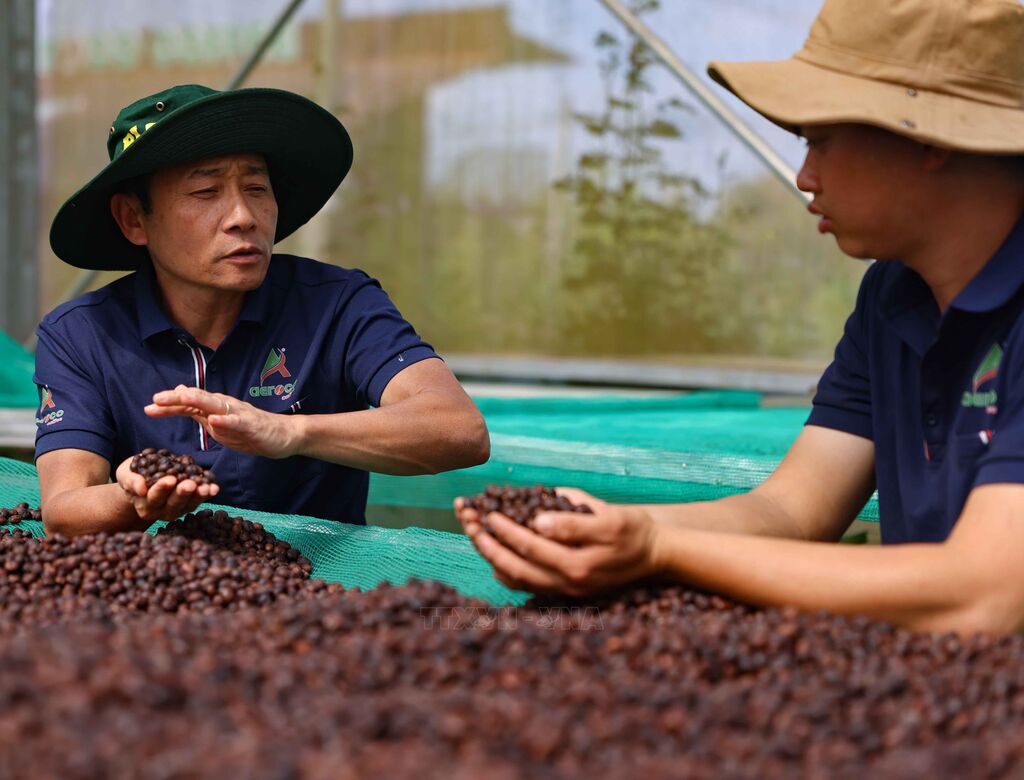 Một hành trình của 'công' và 'nghệ' - 4