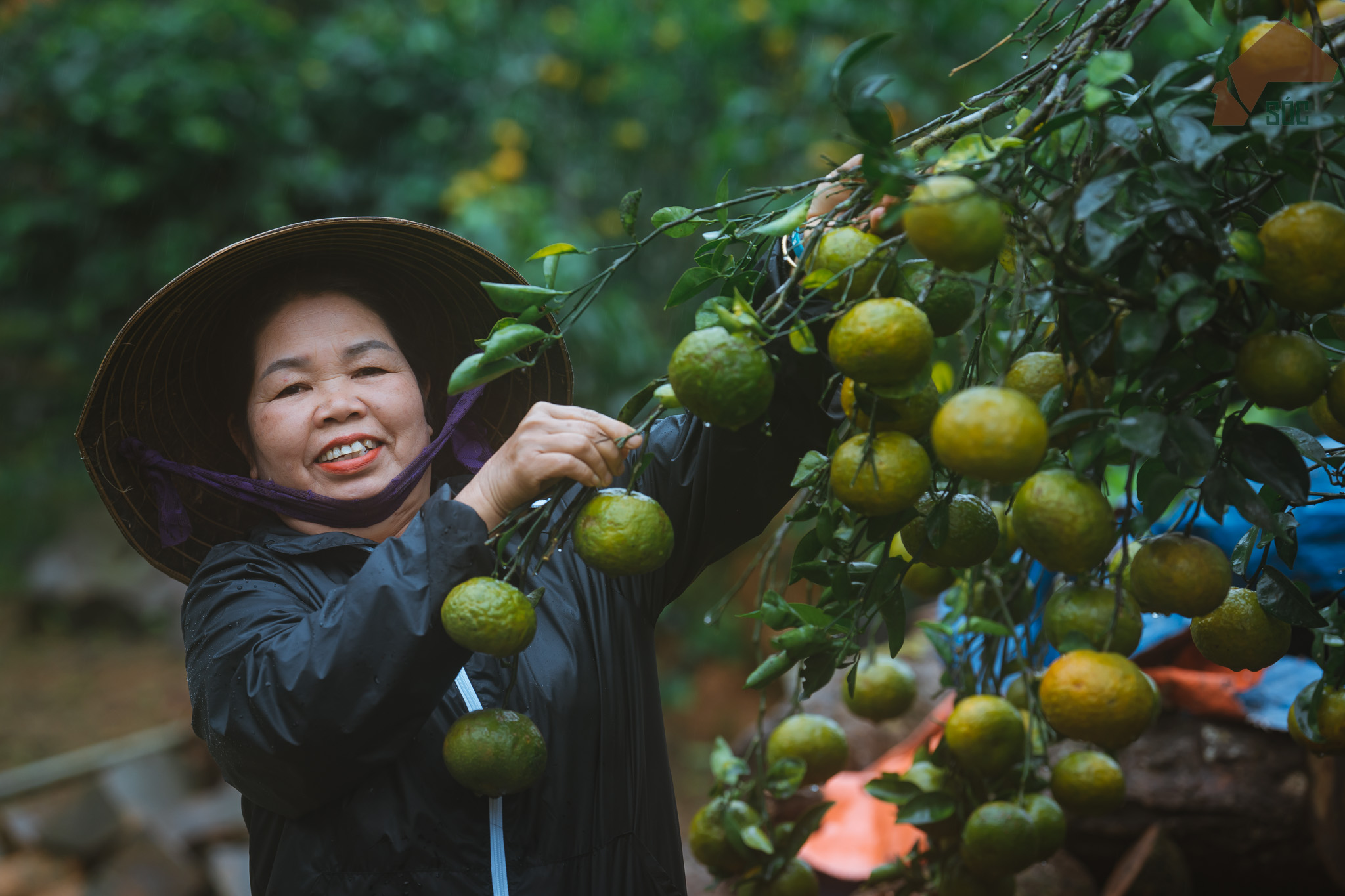 Một hành trình của 'công' và 'nghệ' - 5