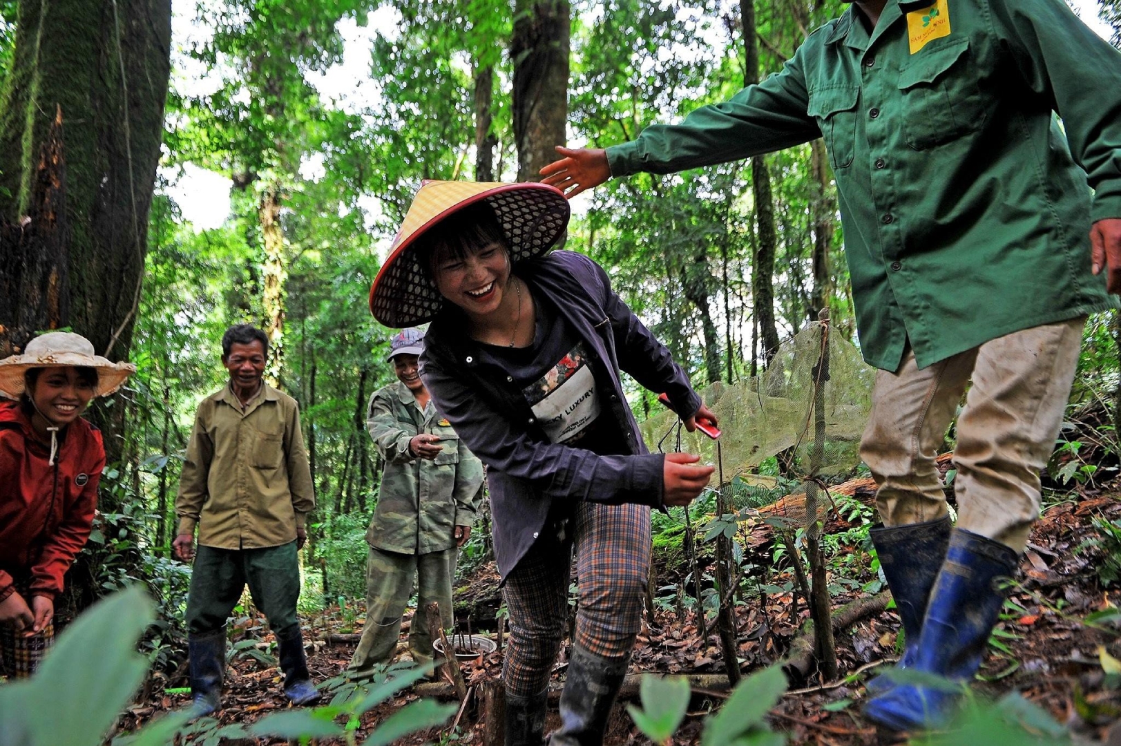 Măng Ri - Giữ hồn rừng già để bảo tồn quốc bảo - 4