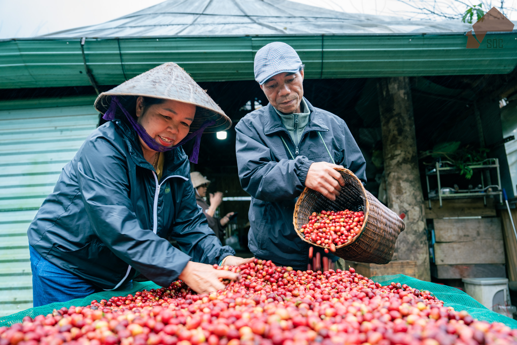 Khát vọng định danh bản sắc thương hiệu - 7