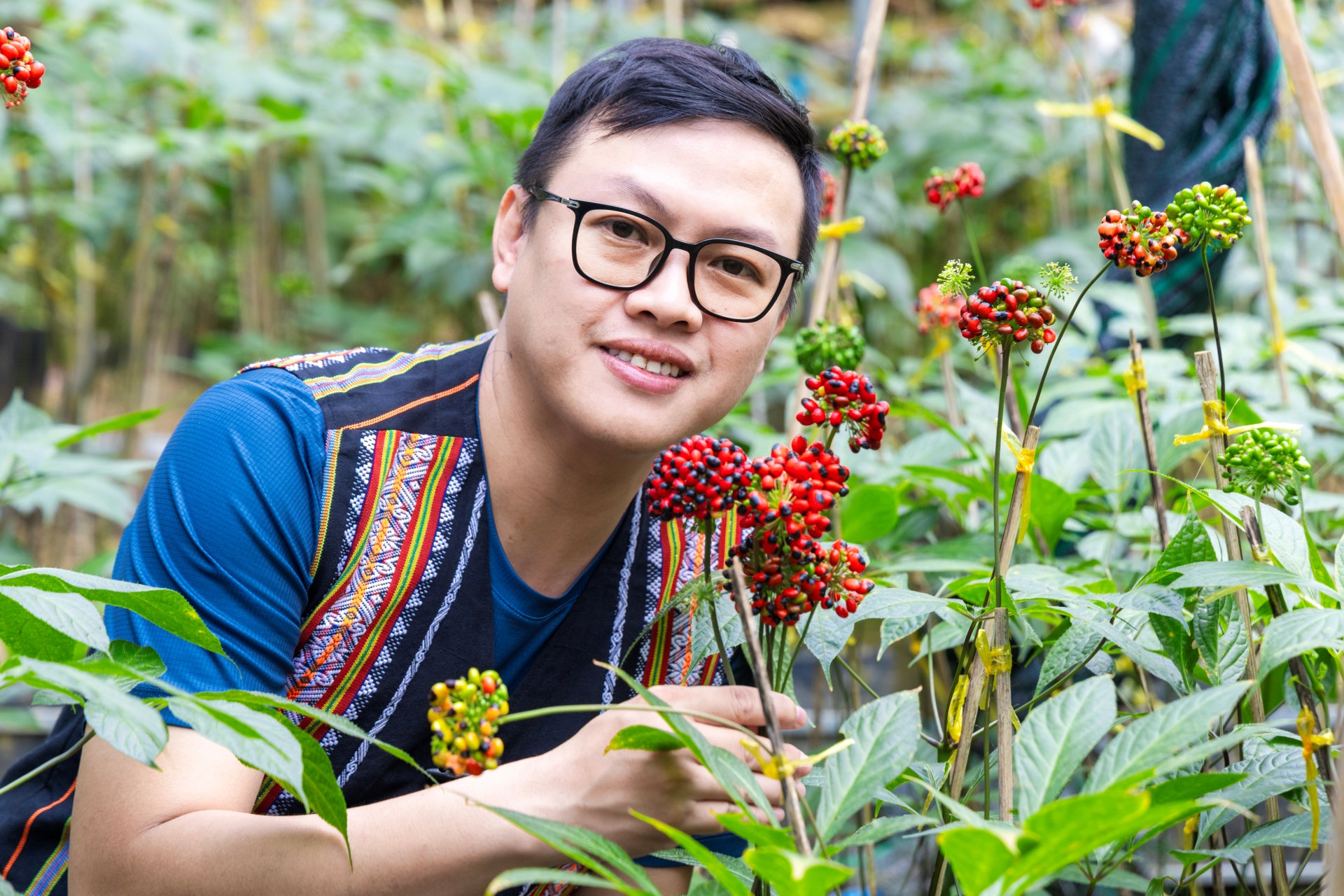 Trà Sâm Ngọc Linh hòa tan: Sứ giả biến báu vật thành người bạn sức khỏe mọi nhà - 5