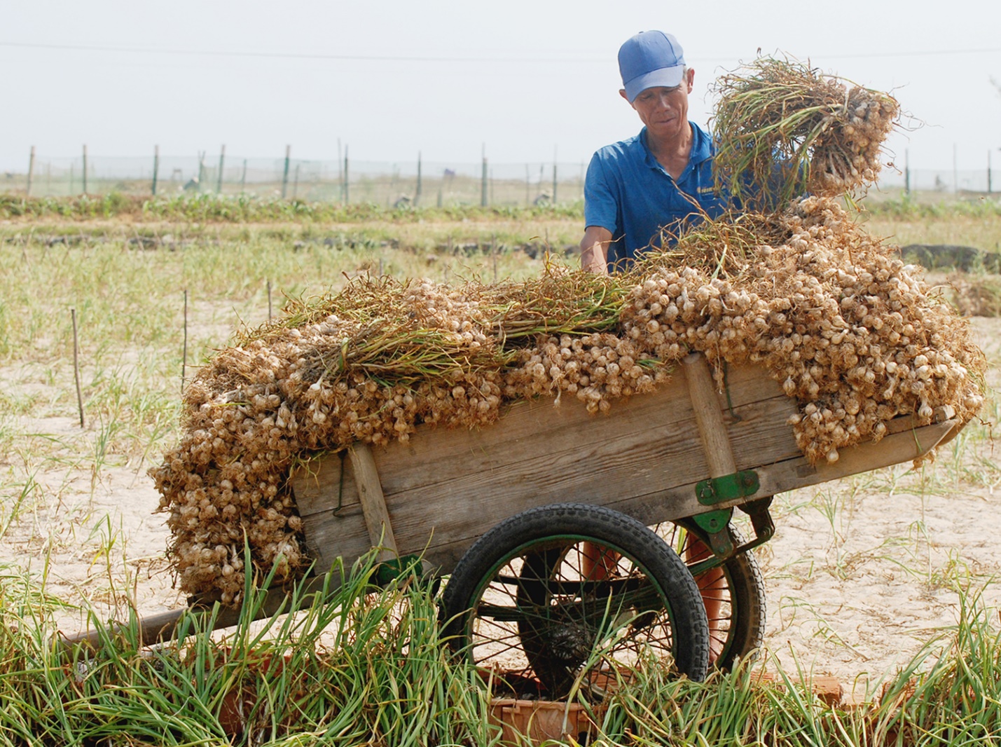 “vuong quoc toi” giua trung khoi - 4
