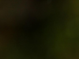  - Đặc sản Quảng Ngãi đậm mãi chữ tình