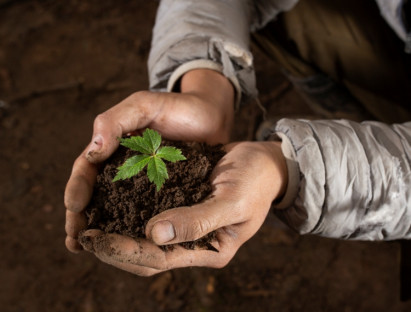  - Măng Ri - Giữ hồn rừng già để bảo tồn quốc bảo