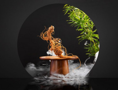  - K5 Sâm mật ong: Món quà quý kết hợp giữa Đông y và y học hiện đại