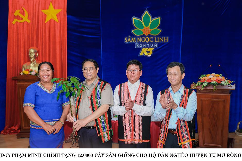 K5 Sâm mật ong: Món quà quý kết hợp giữa Đông y và y học hiện đại - 7