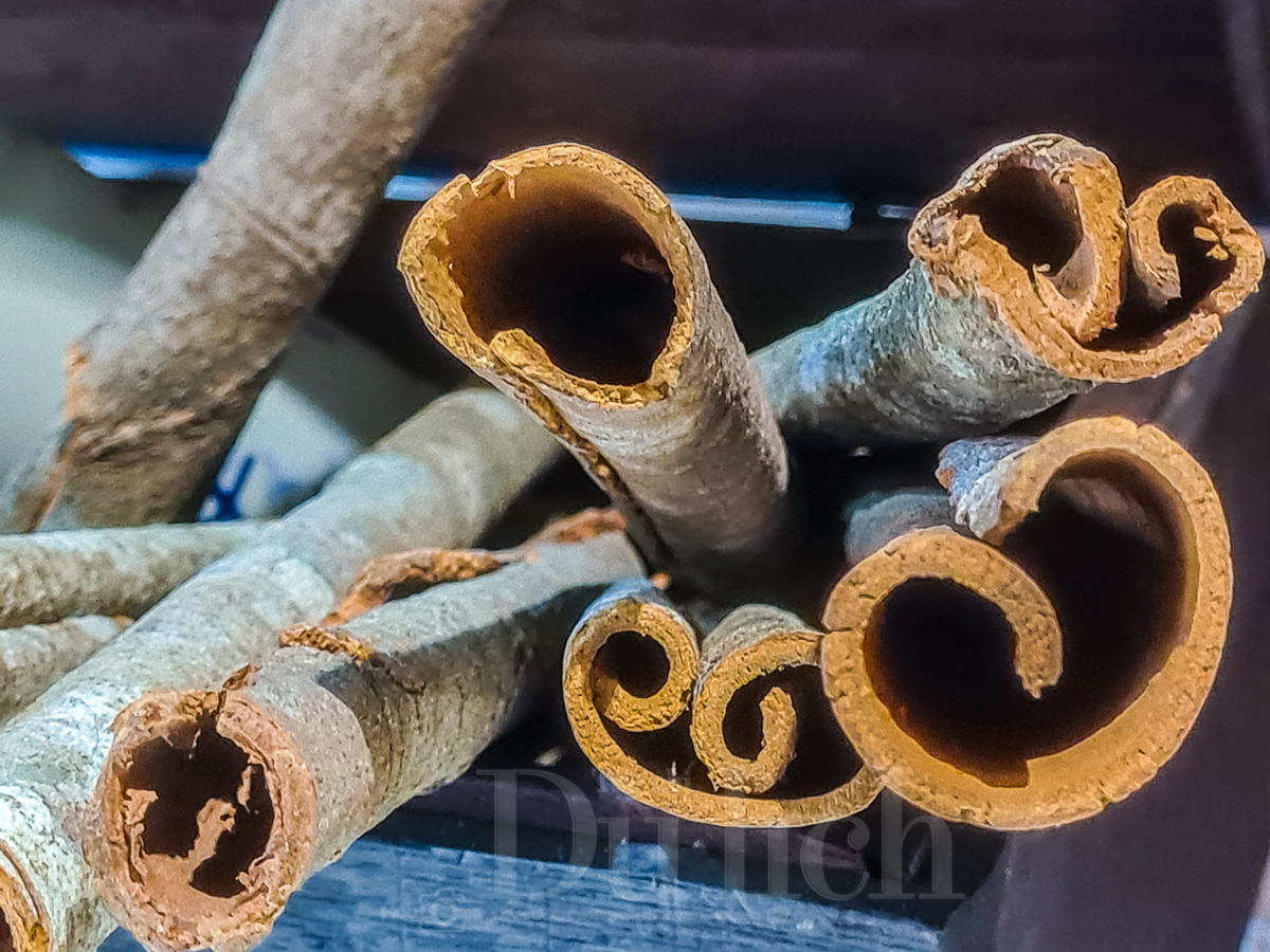 ‘Đánh thức’ vị giác và ký ức - Hành trình chạm vào di sản tại Bảo tàng Phở độc nhất vô nhị - 9