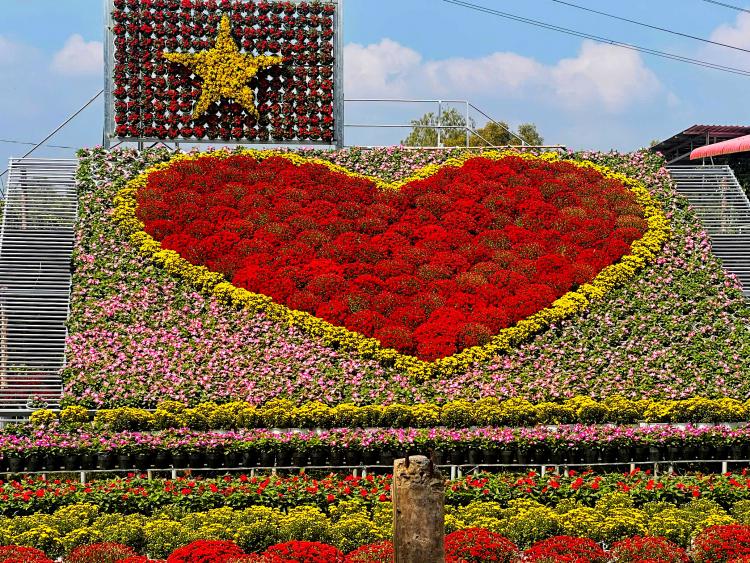 Cả ngàn giống hoa - kiểng tại 'Không gian sắc hoa Sa Đéc'