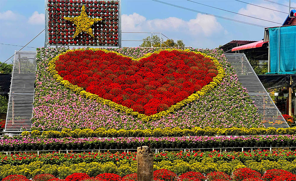 Cả ngàn giống hoa - kiểng tại 'Không gian sắc hoa Sa Đéc' - 1