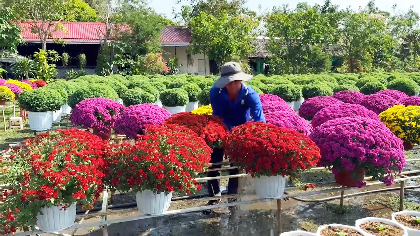 Cả ngàn giống hoa - kiểng tại 'Không gian sắc hoa Sa Đéc' - 5