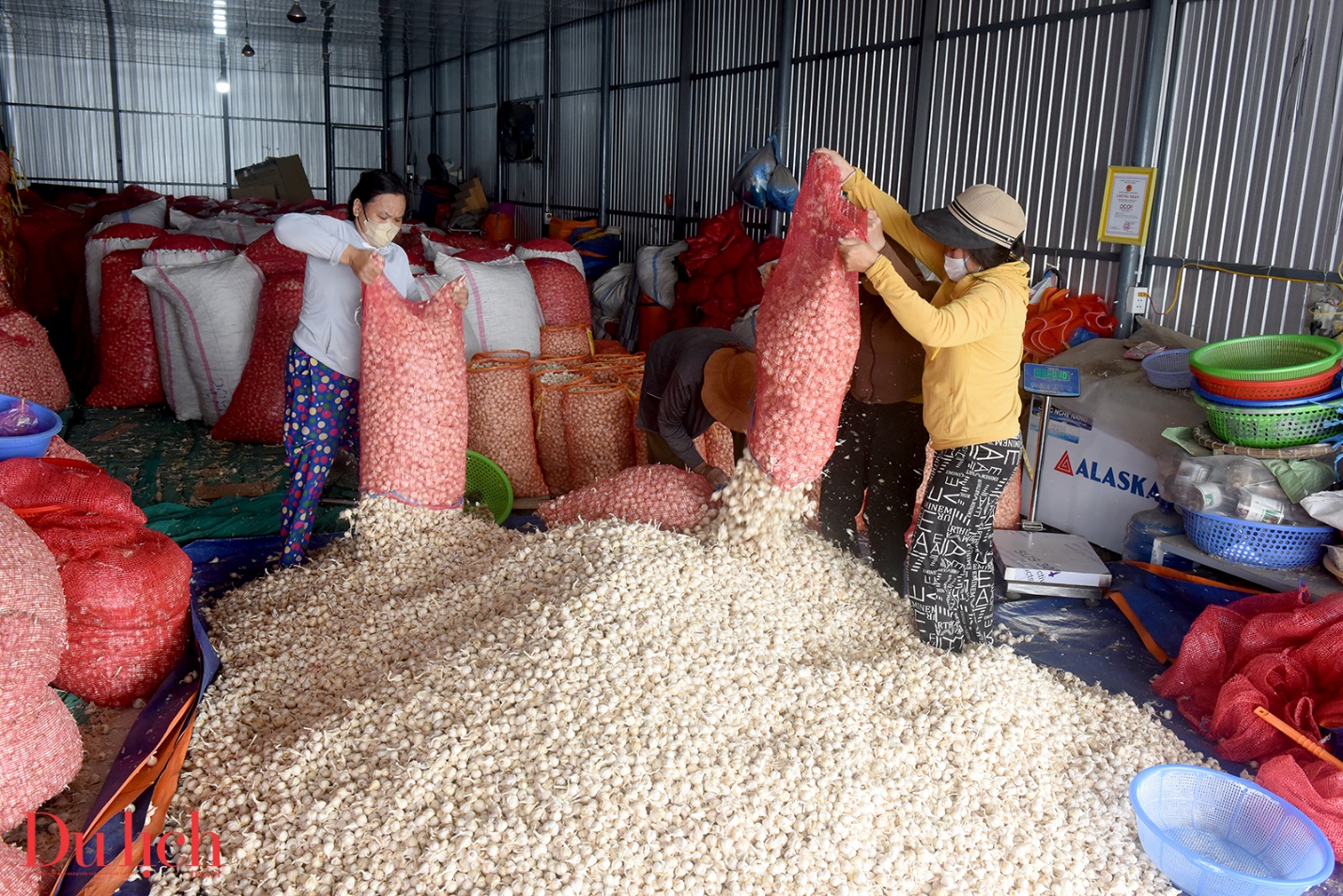 dac khu ly son - dau son dac biet tren ban do du lich viet nam - 13