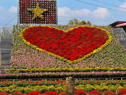 Cả ngàn giống hoa - kiểng tại 'Không gian sắc hoa Sa Đéc'