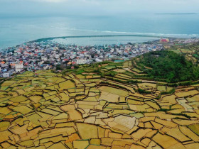  - Đặc khu Lý Sơn - Dấu son đặc biệt trên bản đồ du lịch Việt Nam