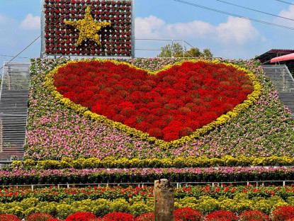  - Cả ngàn giống hoa - kiểng tại 'Không gian sắc hoa Sa Đéc'