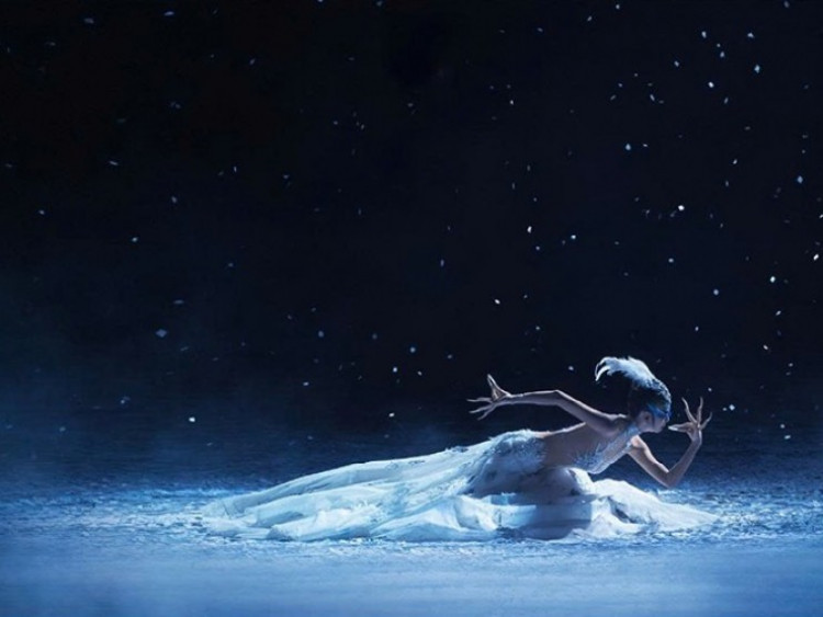 Nghệ sĩ Dương Lệ Bình sẽ đến Việt Nam tham dự họp vào tháng 1/2026