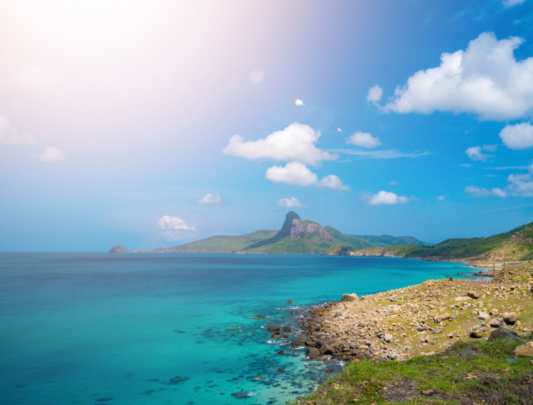 TP.HCM đề xuất xây cáp treo sân bay Cỏ Ống để bảo vệ rừng Côn Đảo