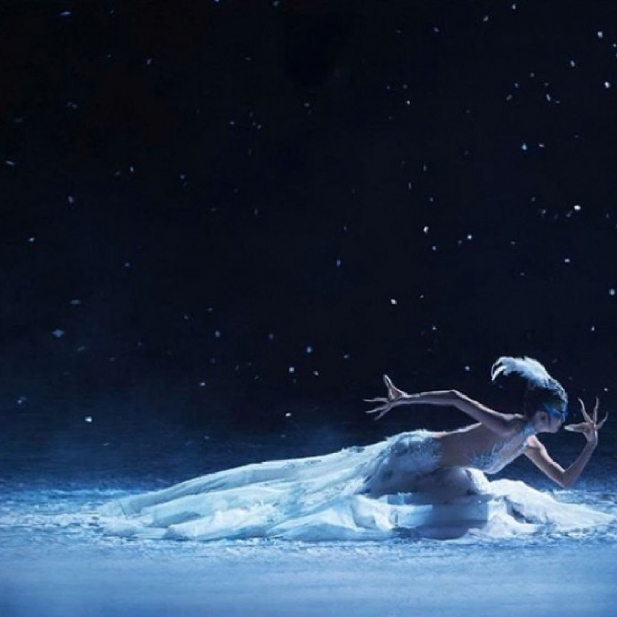  - Nghệ sĩ Dương Lệ Bình sẽ đến Việt Nam tham dự họp vào tháng 1/2026