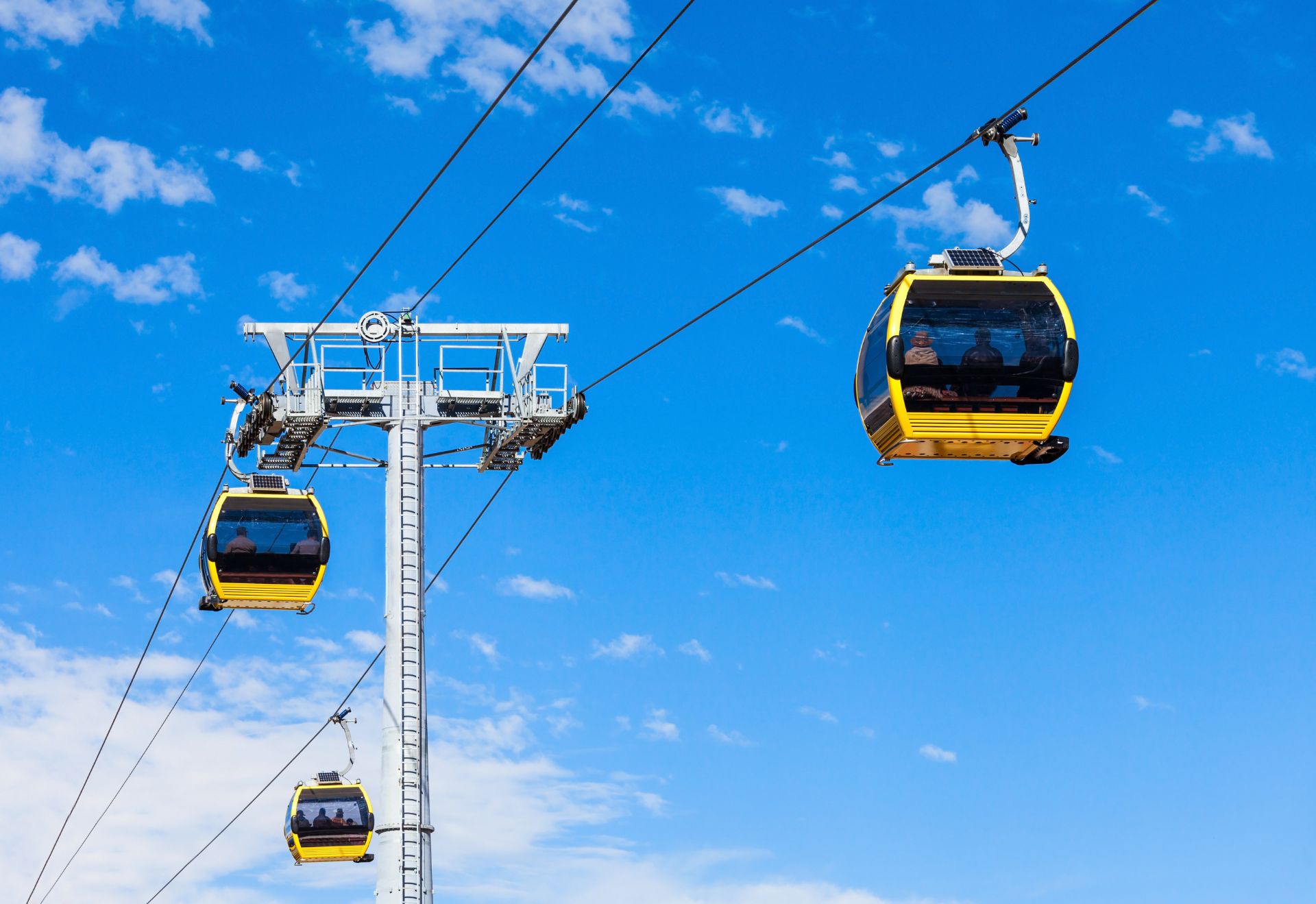 TP.HCM đề xuất xây cáp treo sân bay Cỏ Ống để bảo vệ rừng Côn Đảo - 3