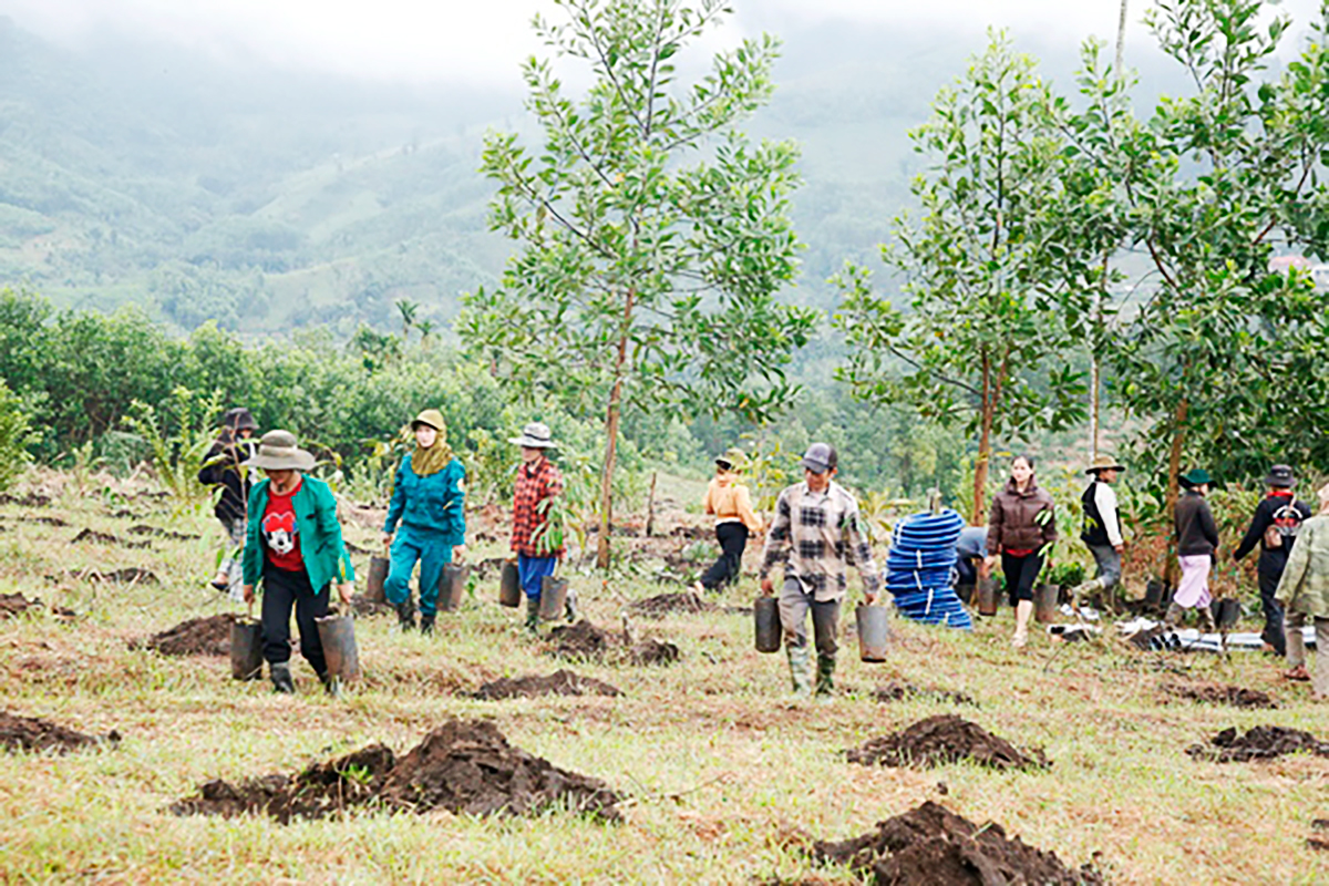 son tay thuong lien ket ‘4 nha’ danh thuc tiem nang, phat trien ben vung - 8
