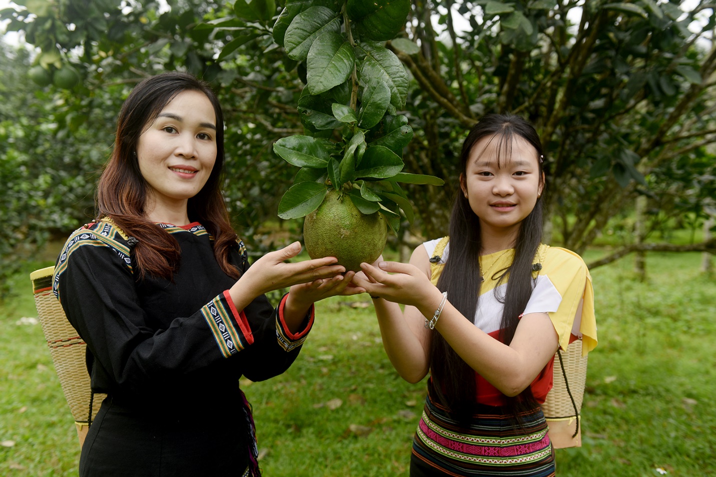 son tay thuong lien ket ‘4 nha’ danh thuc tiem nang, phat trien ben vung - 15