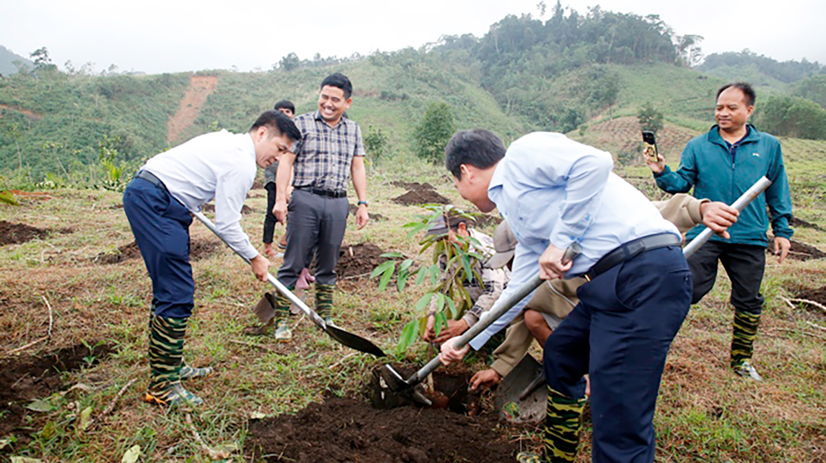 son tay thuong lien ket ‘4 nha’ danh thuc tiem nang, phat trien ben vung - 7