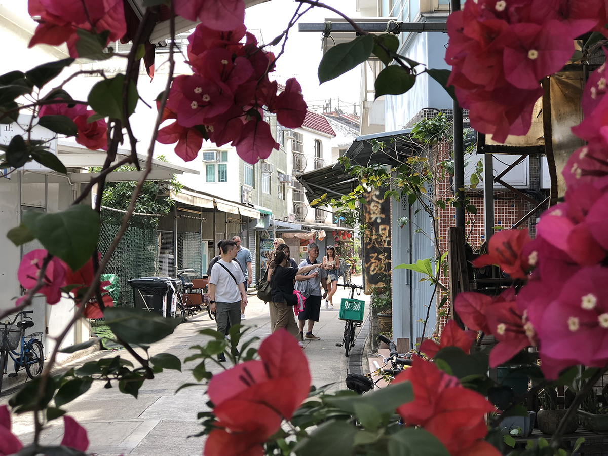 Ghé thăm làng chài cổ Tai O khác lạ ở Hồng Kông - 5