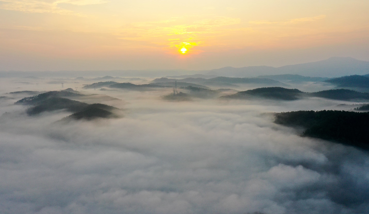 lan dau tien khinh khi cau bay len giua mua hoa anh dao mang den - 7