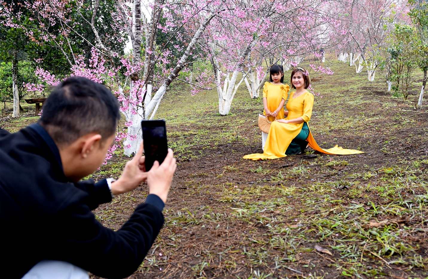 lan dau tien khinh khi cau bay len giua mua hoa anh dao mang den - 11