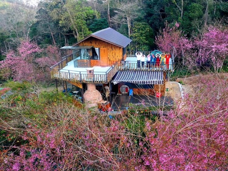 Lần đầu tiên khinh khí cầu bay lên giữa mùa hoa anh đào Măng Đen