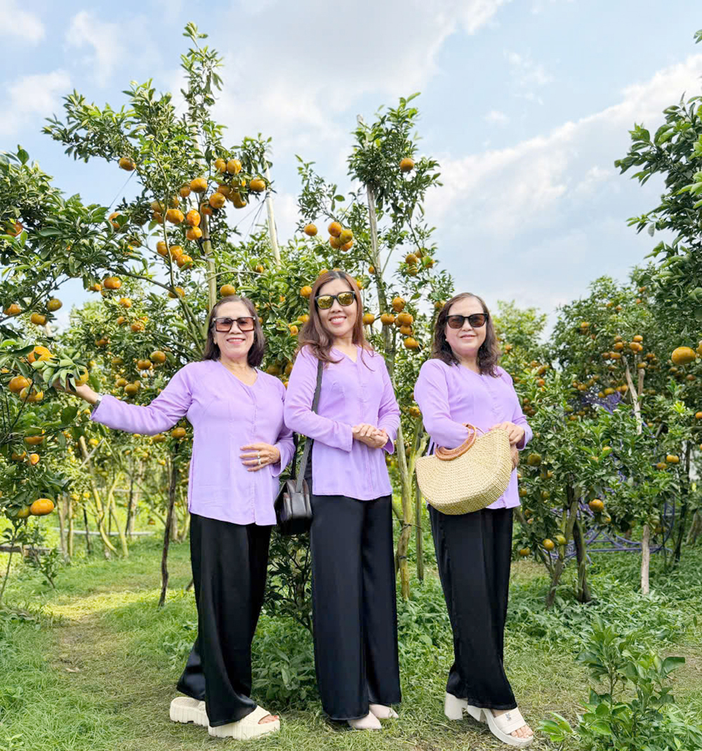 Du khách ‘mê mẩn’ với vườn quýt hồng say trái tại Cần Thơ - 4