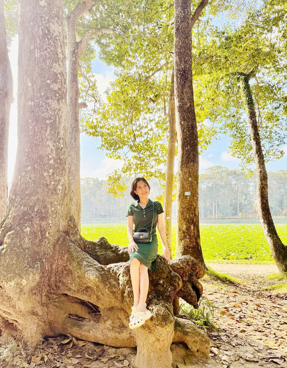 Đoàn khảo sát phát triển du lịch Vĩnh Long tham quan rừng cây cổ thụ có bộ rễ kỳ lạ - 1