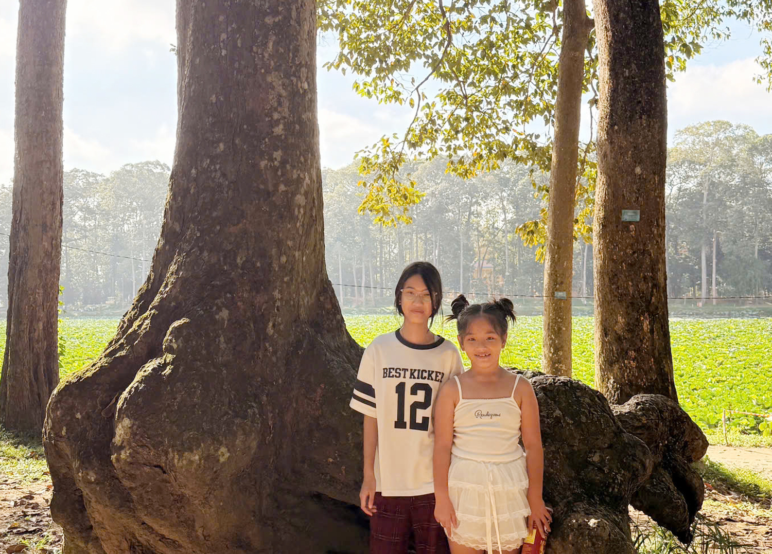 Đoàn khảo sát phát triển du lịch Vĩnh Long tham quan rừng cây cổ thụ có bộ rễ kỳ lạ - 2