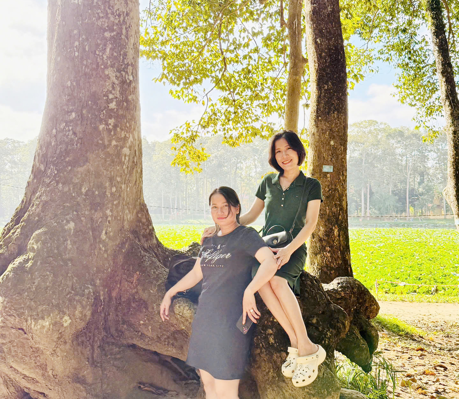 Đoàn khảo sát phát triển du lịch Vĩnh Long tham quan rừng cây cổ thụ có bộ rễ kỳ lạ - 3